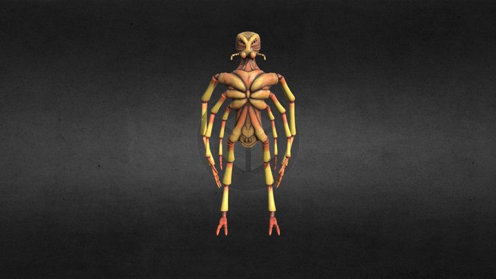 Housemate Spider 3D Model