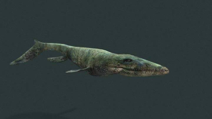 мозазавр mosasaur 3D Model