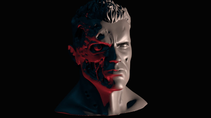 ARNOLD TERMINATOR T800 BUST 3D Model