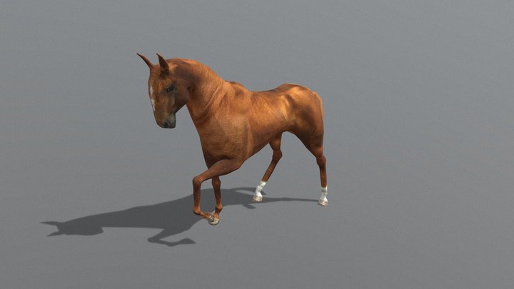 лошадь horse 3D Model