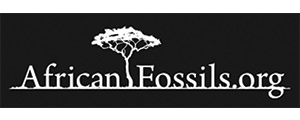 African Fossils