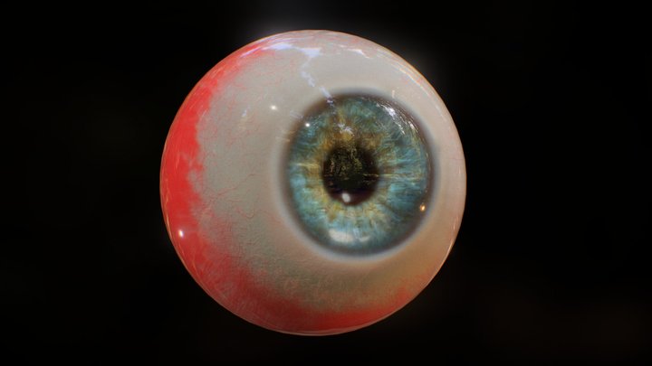 Eye model V2 - 3d by Oscar creativo 3D Model