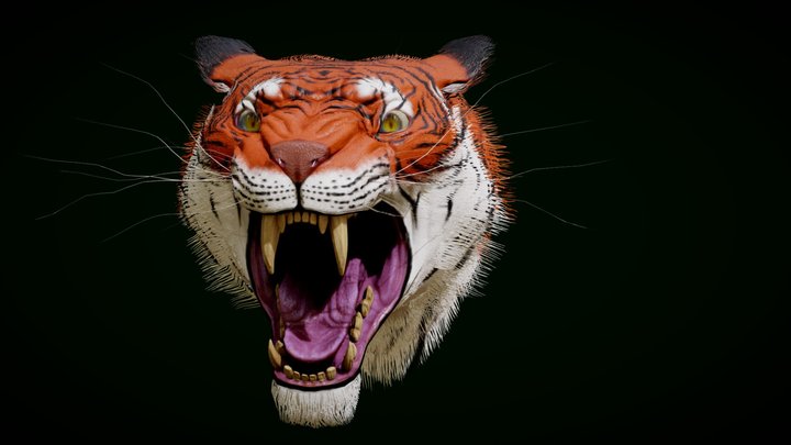 Tiger head 3D Model